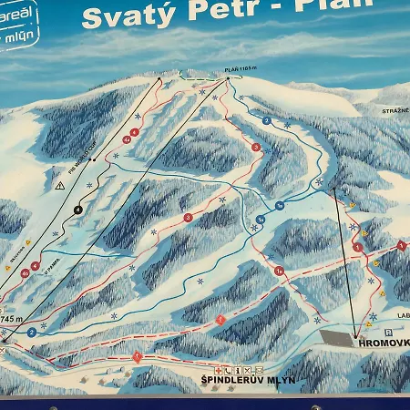 Bellevue Apartment *